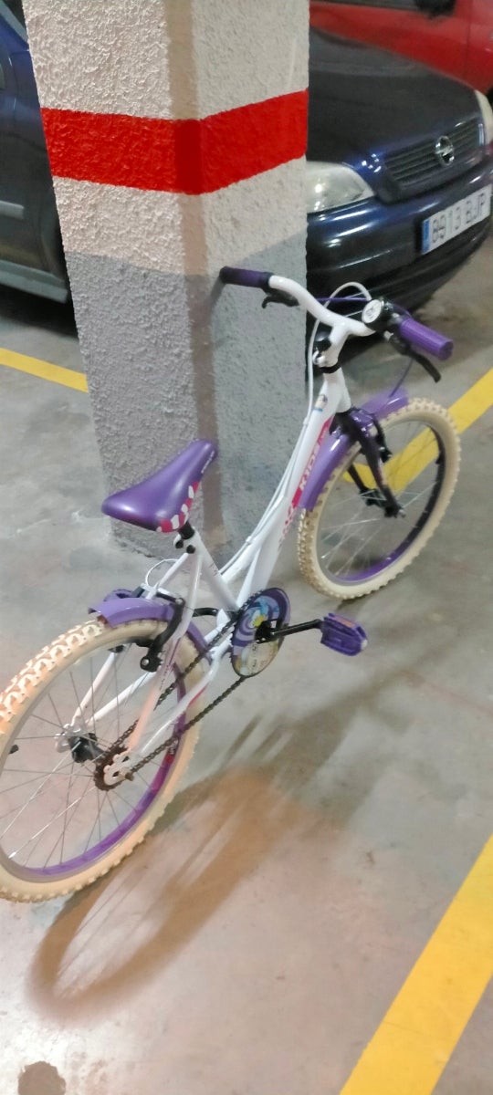 bicicleta 20