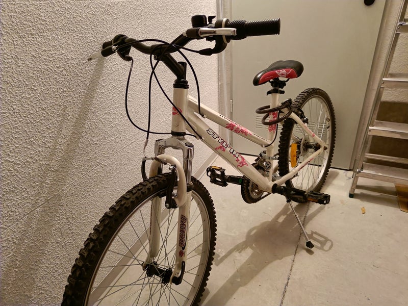 bicicleta con soporte 
