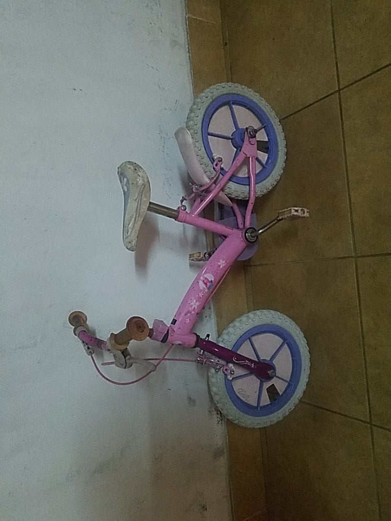 Bicicleta niña de 3 a 5 años 