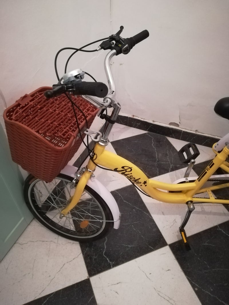 Bicicleta triciclo 